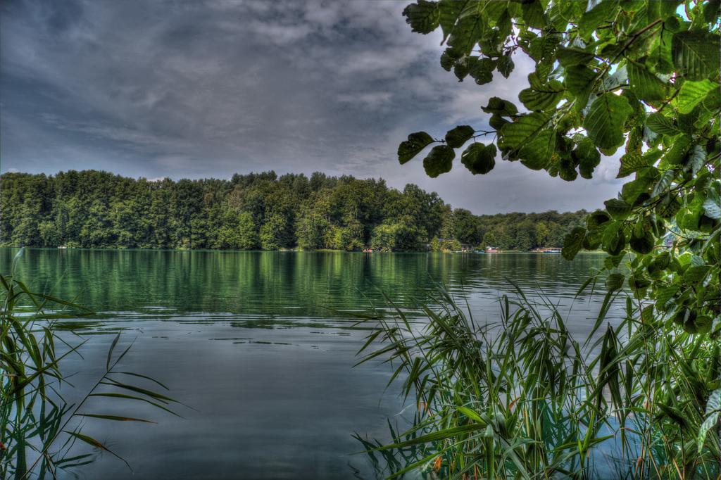 Hotel Am Liepnitzsee Wandlitz Exteriér fotografie