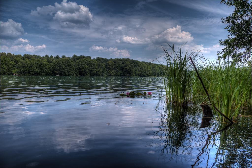 Hotel Am Liepnitzsee Wandlitz Exteriér fotografie