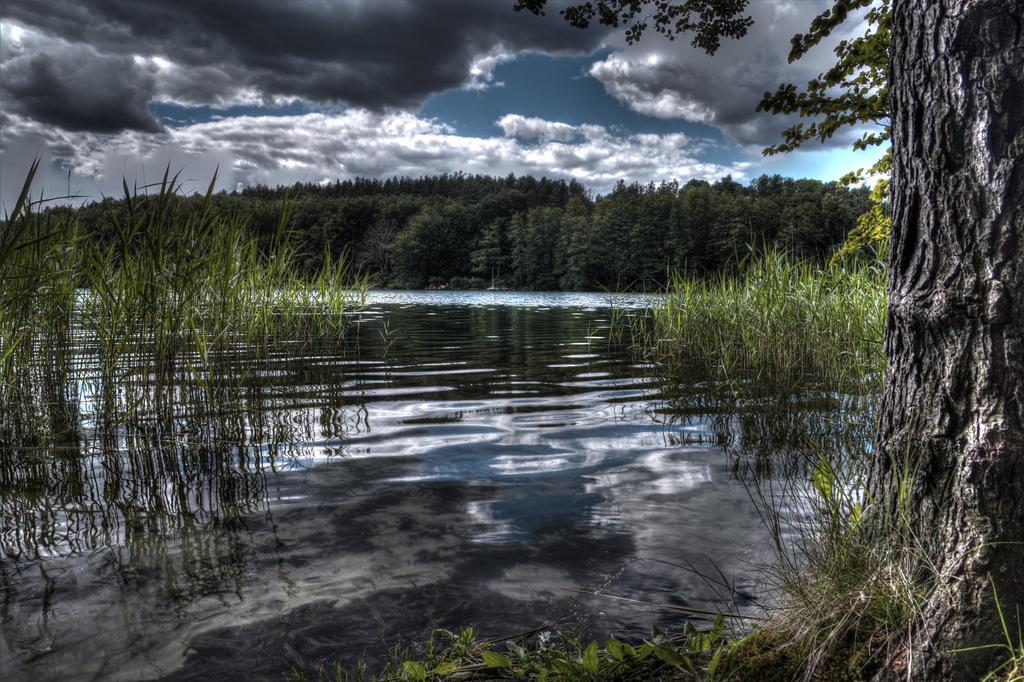 Hotel Am Liepnitzsee Wandlitz Exteriér fotografie