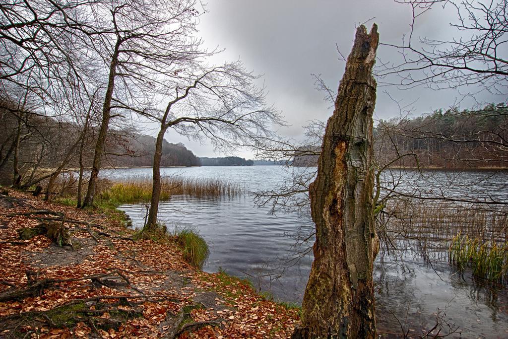 Hotel Am Liepnitzsee Wandlitz Exteriér fotografie