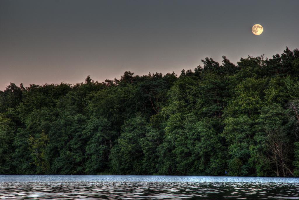 Hotel Am Liepnitzsee Wandlitz Exteriér fotografie
